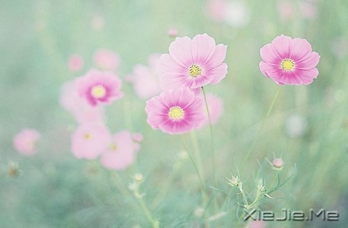 因为知足，所以更接近幸福 (1)