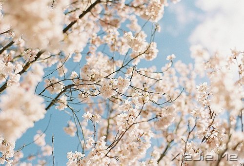 因为知足，所以更接近幸福 (4)