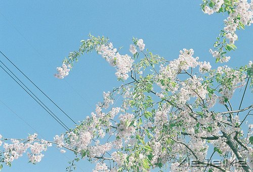 因为知足，所以更接近幸福 (7)