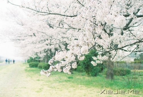 因为知足，所以更接近幸福 (8)