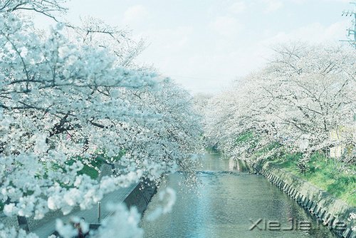 因为知足，所以更接近幸福 (9)