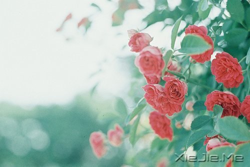 因为知足，所以更接近幸福 (10)
