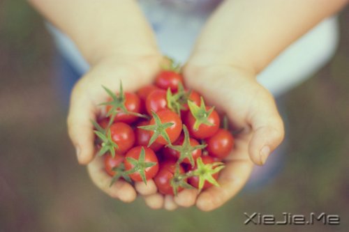 越努力，越幸运 (2)