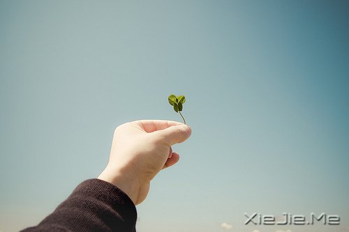 越努力，越幸运 (4)