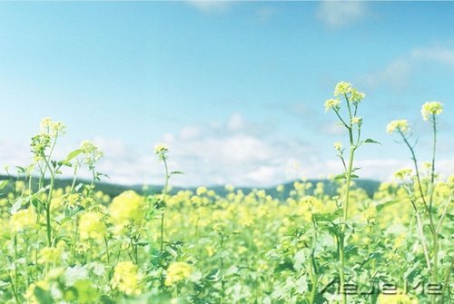 越努力，越幸运 (7)