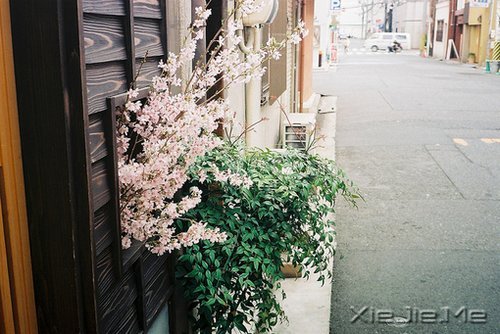 晚安心语：时间不仅让你看透别人，也让你认清自己 (4)