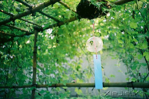 晚安心语：时间不仅让你看透别人，也让你认清自己 (8)