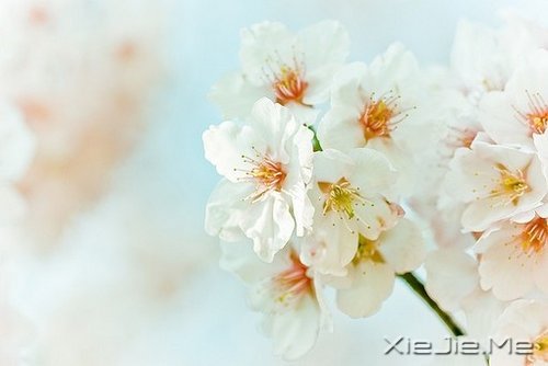 若不是终点，请微笑一直向前 (2)