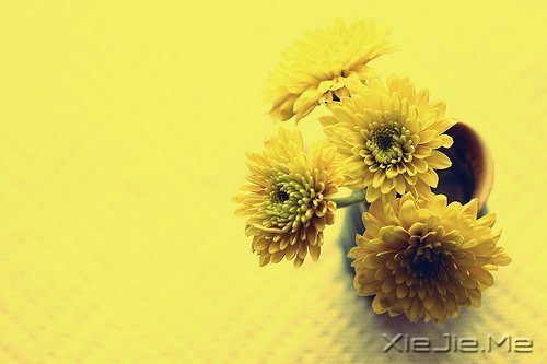 若不是终点，请微笑一直向前 (4)