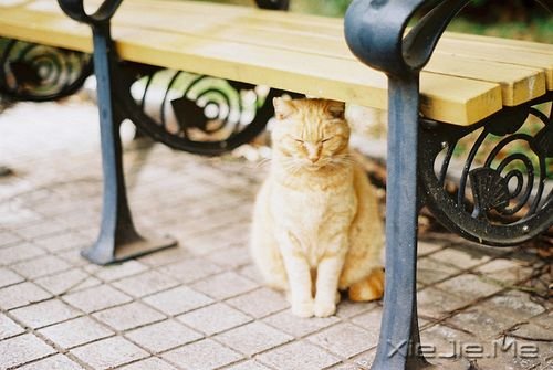 晚安心语：最好的决定，往往是不假思索的那一个 (4)