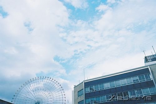 晚安心语：最好的决定，往往是不假思索的那一个 (5)