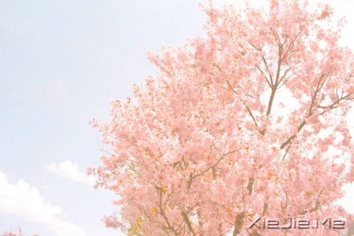 晚安心语：最好的决定，往往是不假思索的那一个 (8)