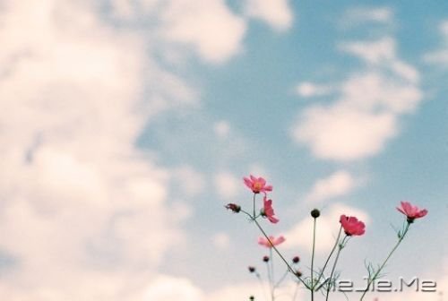 晚安心语：哭泣时没有肩膀依靠，那就仰起头 (3)