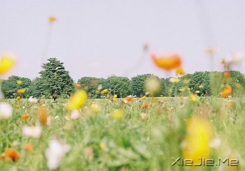 晚安心语：一个人时，善待自己；两个人时，善待对方 (1)