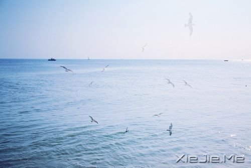 晚安心语：一个人时，善待自己；两个人时，善待对方 (7)