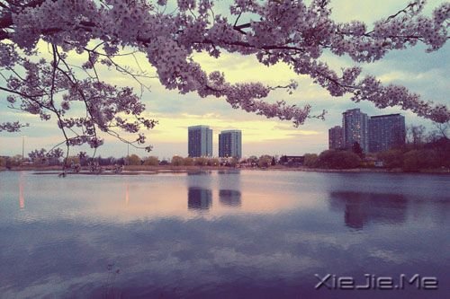 晚安心语：一个人时，善待自己；两个人时，善待对方 (8)