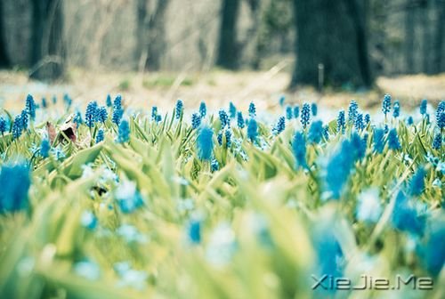 早安心语：童心未泯，是一件值得骄傲的事情 (9)