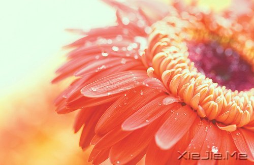 留几手：没有谁是不可取代的