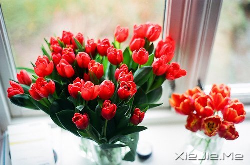 经典语录：输什么也不能输了心情 (7)